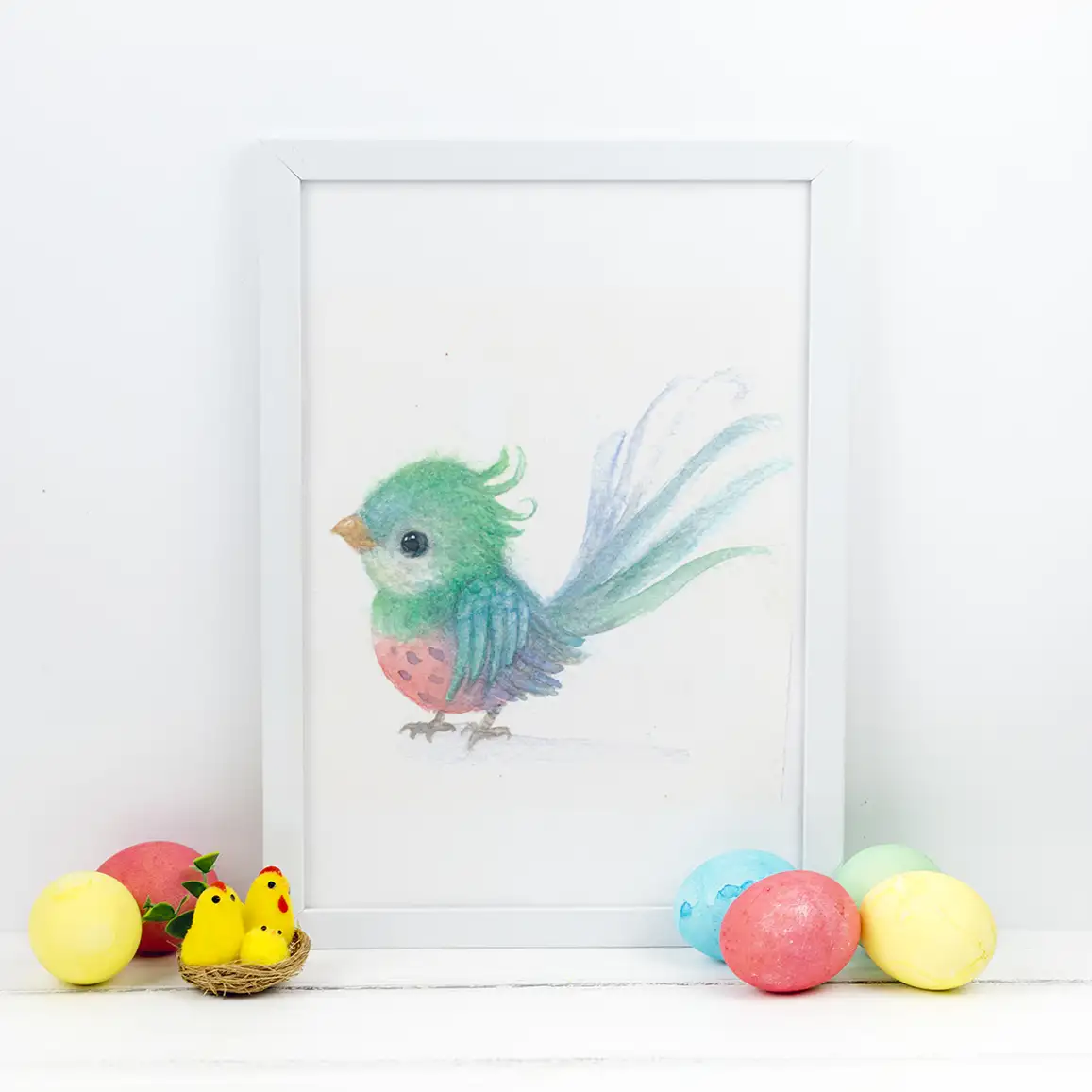Le petit monde des oiseaux