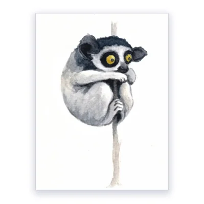 Un indri, Affiche A3, poster animaux sauvages déco chambre enfant