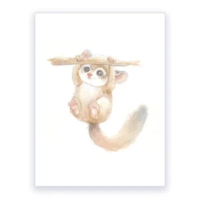 Petit kinkajou, Affiche A3, poster animaux sauvages déco chambre enfant