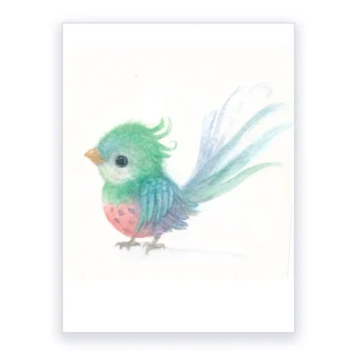 Petit quetzal, oiseaux du monde. Affiche A3, poster décoration chambre enfant