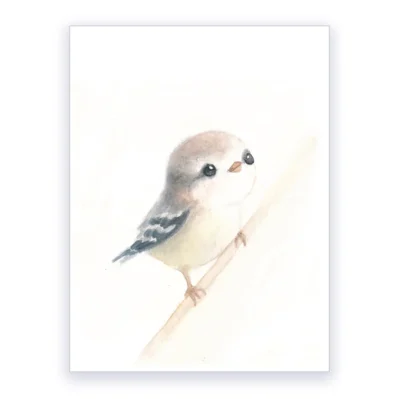 Passereau petit xénique grimpeur, Affiche A3, poster oiseaux du monde déco chambre enfant
