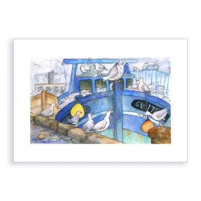 Les goélands. Retour de pêche au Guilvinec